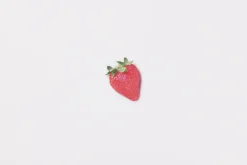 Strawberry Pressed Fruit Sticker