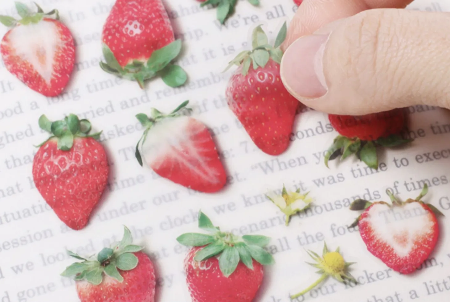 Strawberry Pressed Fruit Sticker