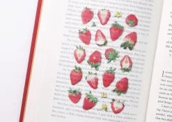 Strawberry Pressed Fruit Sticker