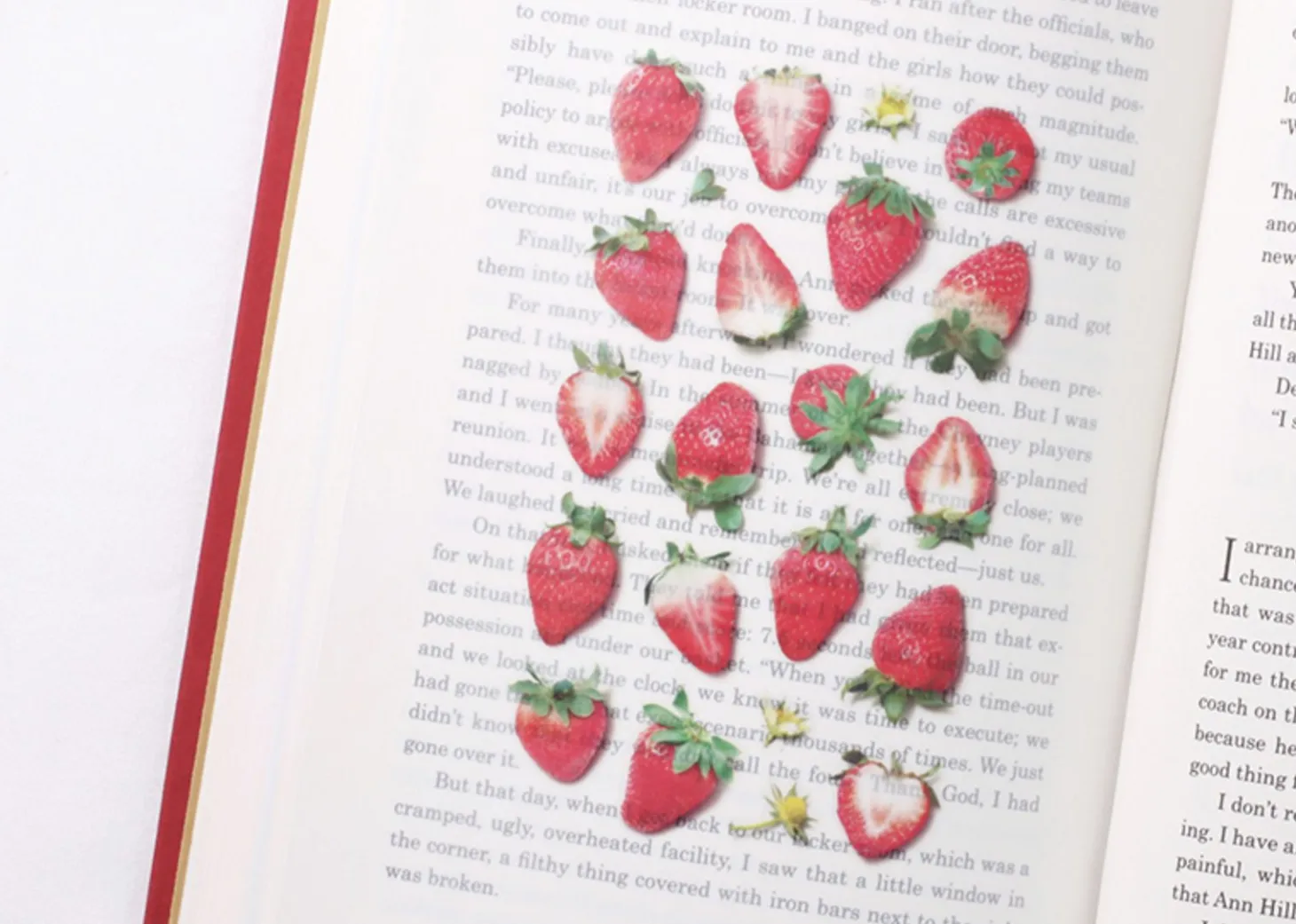Strawberry Pressed Fruit Sticker