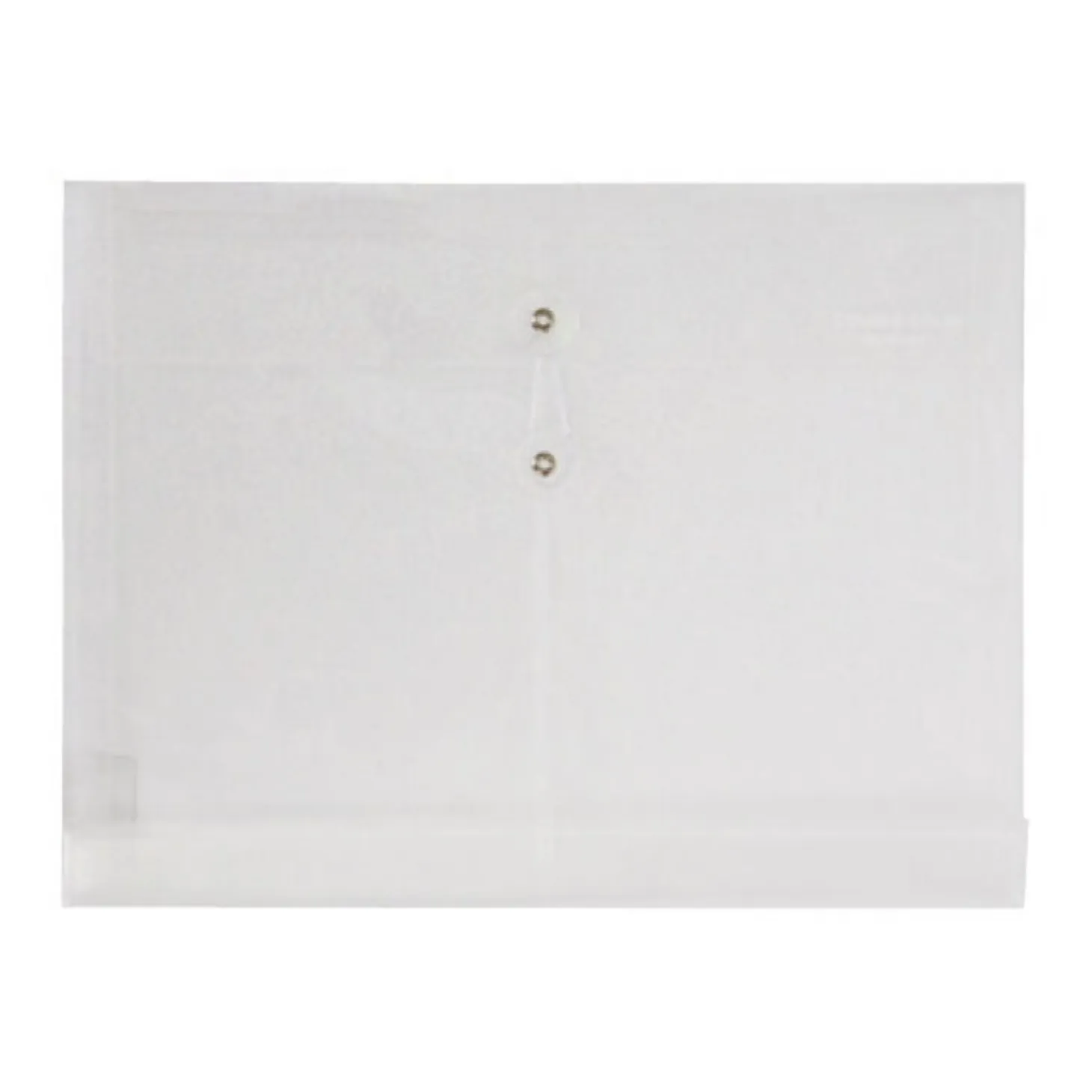 String Tie Document Envelope