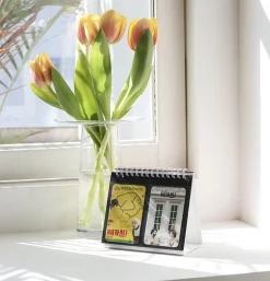 The Color Instax Mini Standing Album