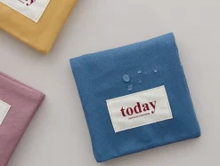 Today Secret Pouch