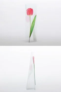 Tulip Sticky Note