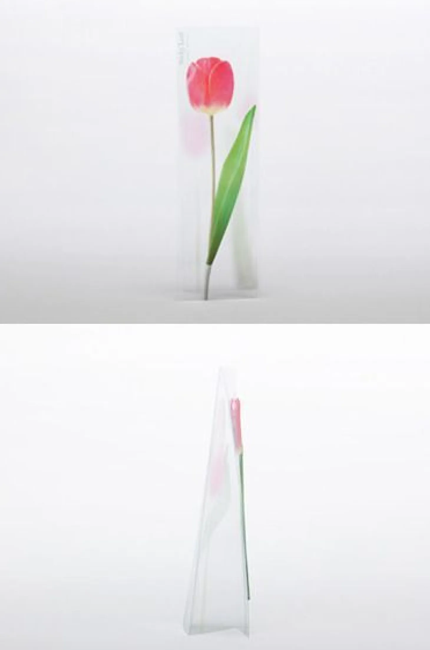 Tulip Sticky Note