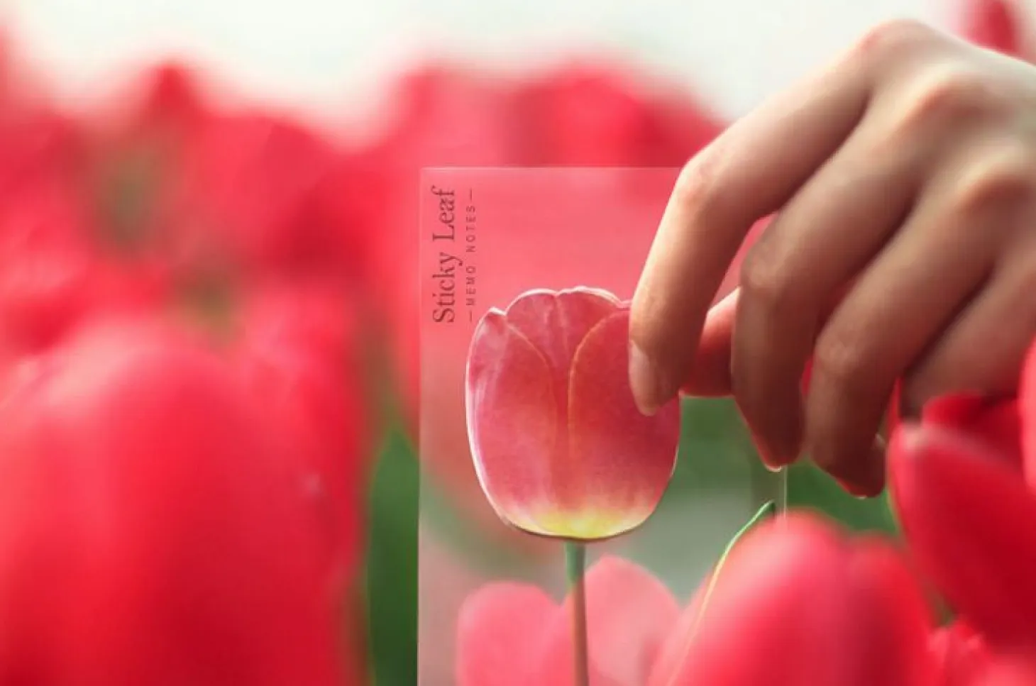 Tulip Sticky Note