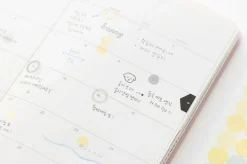 Two-in-one Deco Sticker v2