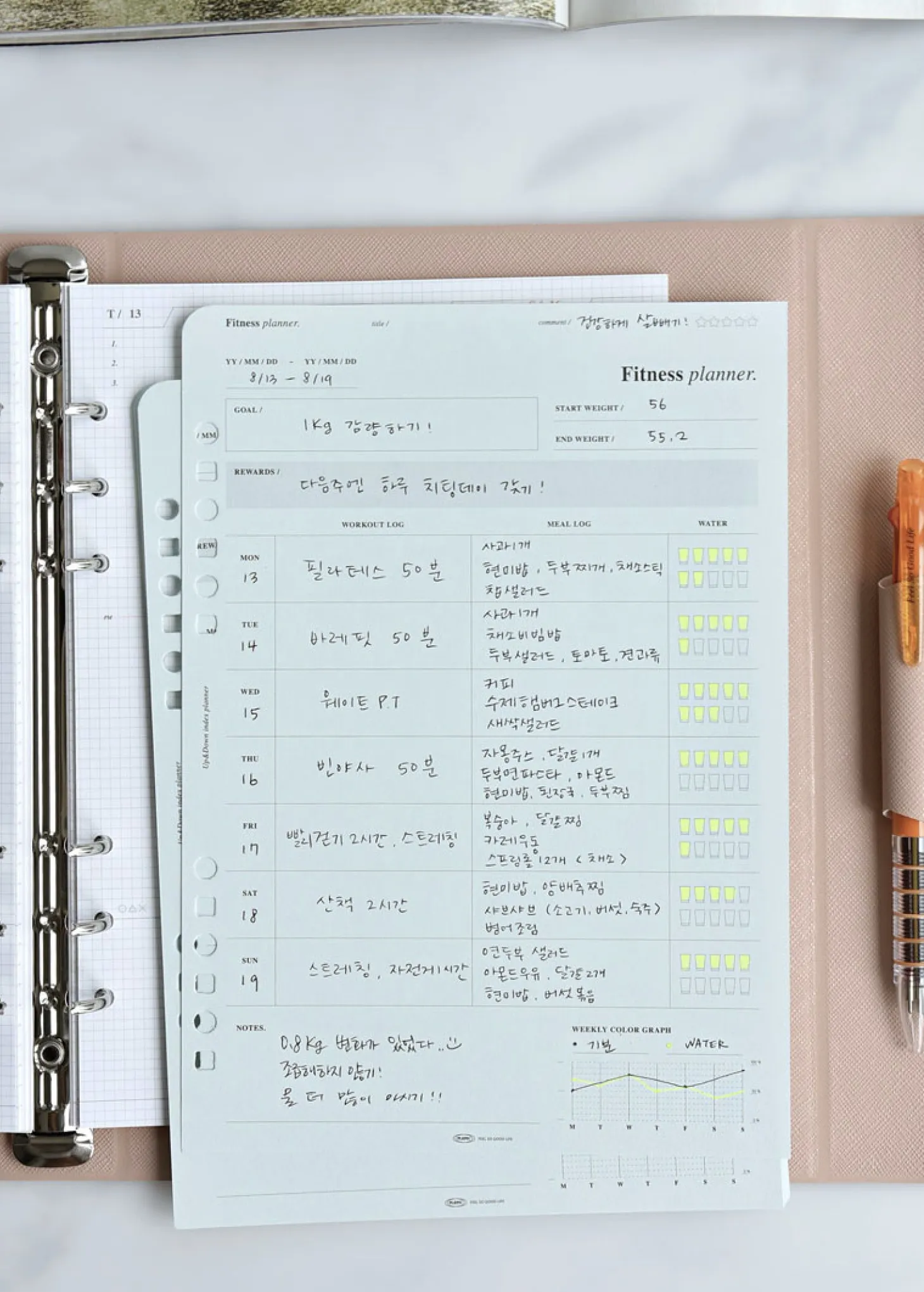 Up&Down Index 6 Ring A5 Planner Refill