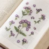 Verbena Pressed Flower Sticker