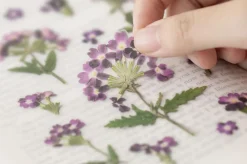 Verbena Pressed Flower Sticker