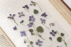 Violet Pressed Flower Sticker