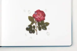 Waterdrop Nature Sticker