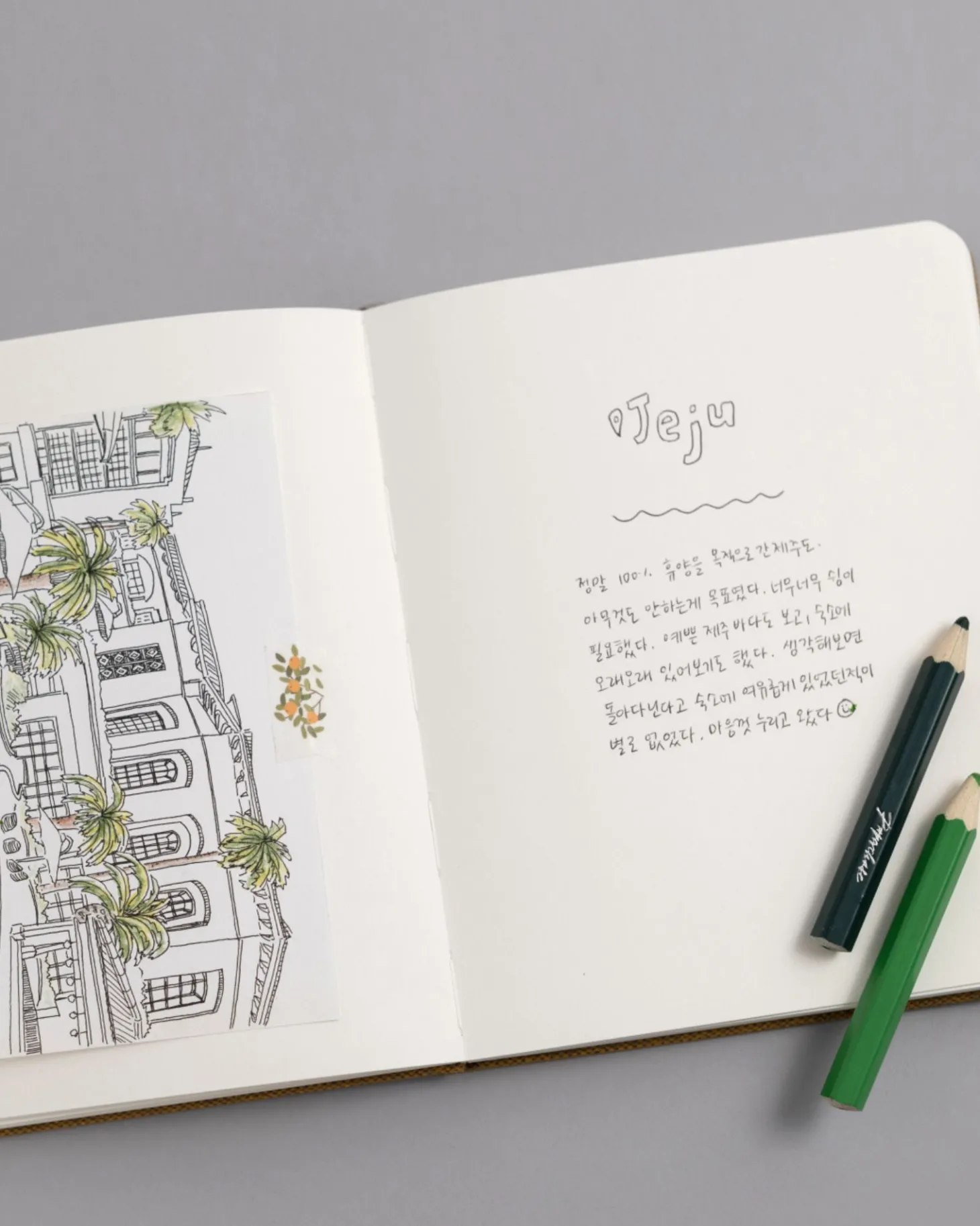 Wide Record Hardcover Plain Notebook
