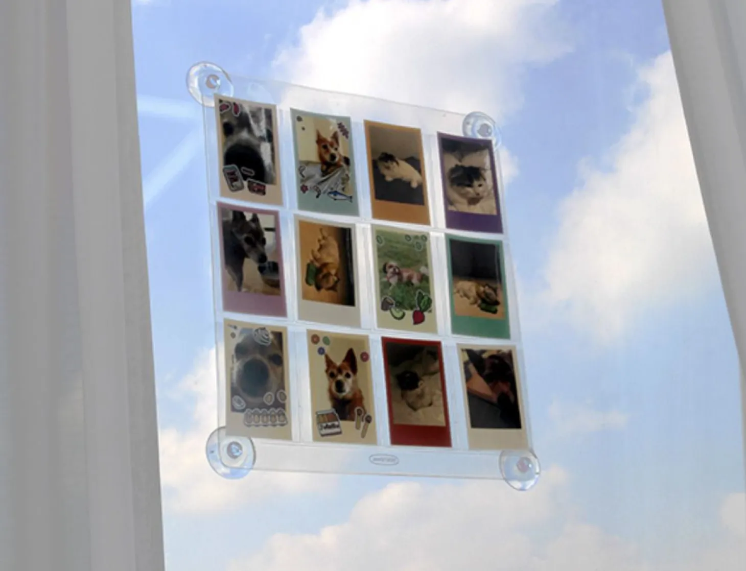 Window Attachable Instax Mini Photo 12 Pocket