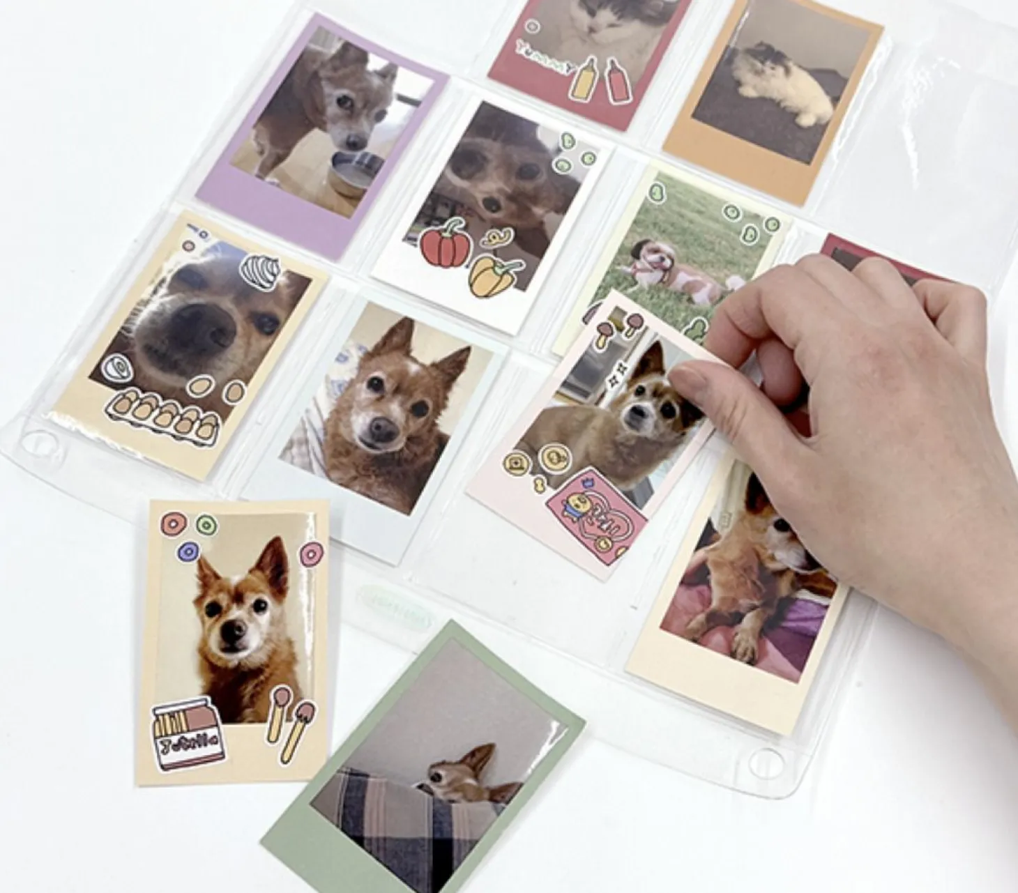Window Attachable Instax Mini Photo 12 Pocket