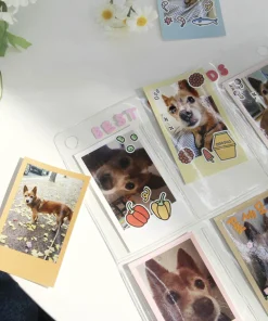 Window Attachable Instax Mini Photo 6 Pocket