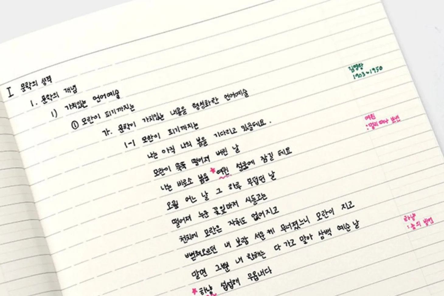 World Literature A5 Lined Notebook